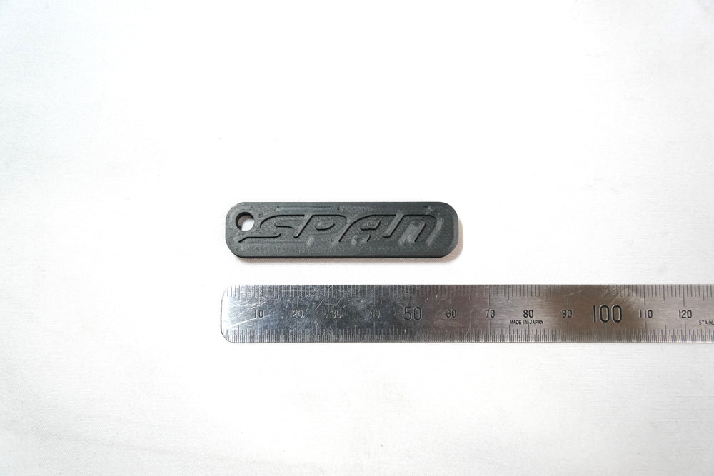 SPAN logo Keychain